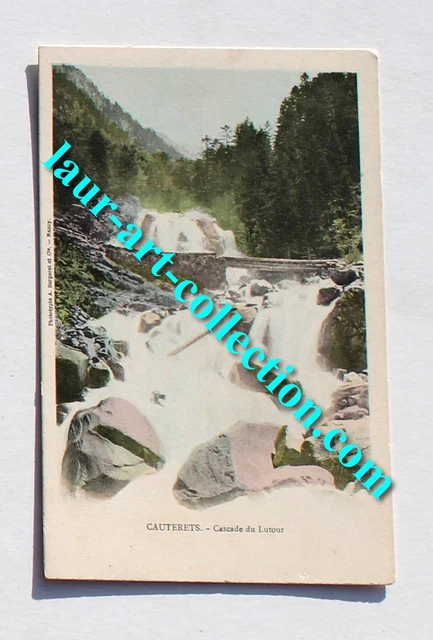 Ancienne Carte Postale - Isards Dans Les Pyrénées (Hautes-Pyrénées) - Début 1900