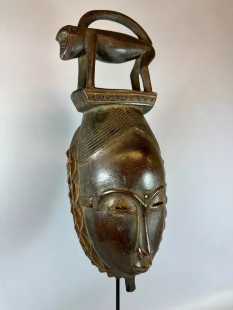 240458 -  African Old Baule mask with animal statue on top - Iv. Coast.