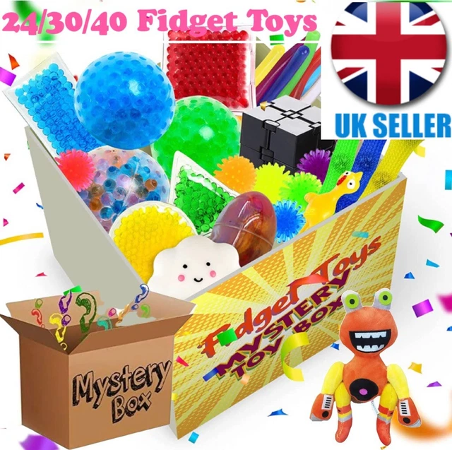 24/30 PCS MYSTERY Fidget Toys Box Bundle Pack Push Pop Soft Toy