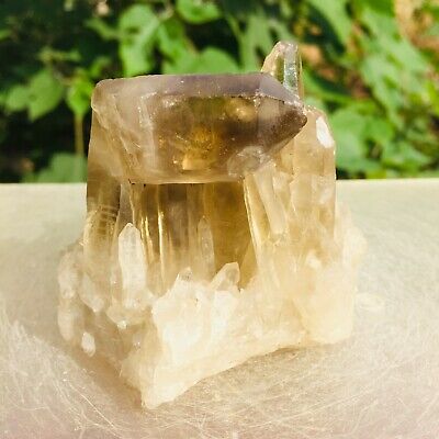 255g Natural Smokey Citrine Quartz Crystal Cluster Mineral Rough Specimen