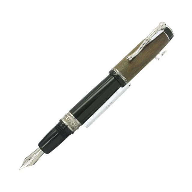 DELTA Fountain pen Limited Edition AMERIGO Vespucci 1K Black M