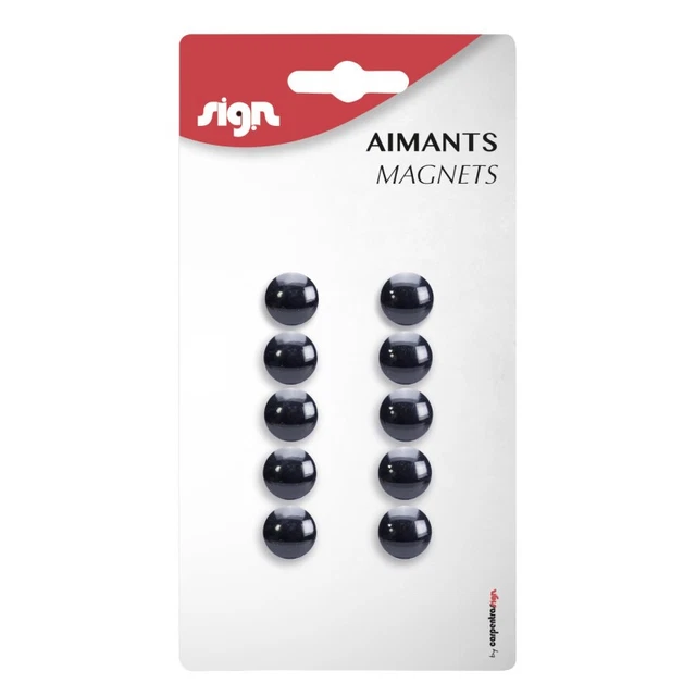 Lot De 10 Aimants Néodyme Super Puissants - Récupérés De Disques Durs 3,5 Pouces