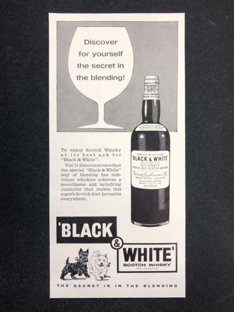 Black & White Whiskey - Glasgow History - Original Press Cutting 1963