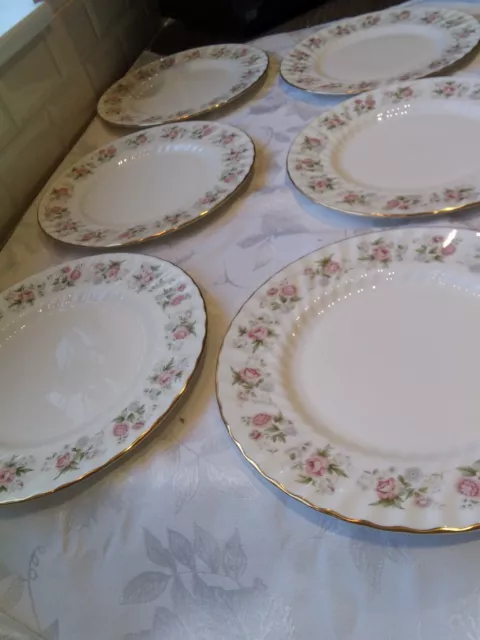 minton spring bouquet X6,Dinner Plates