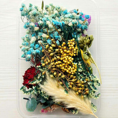 1 caja de plantas secas reales con flores secas hágalo usted mismo artesanía grabado aromaterapia fabricación