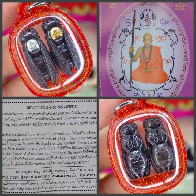 Blessed Cicada Holy Thai amulet Kruba Tao Pendant Gambling Love Charm Talisman