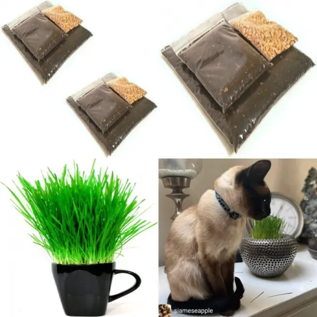 Cat Grass Refill Kit Twin Pack By FurNature