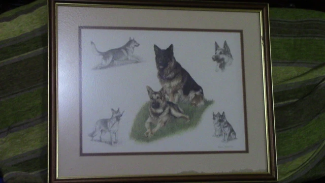 Nigel Hemming framed, signed German Shepherd Print RARE
