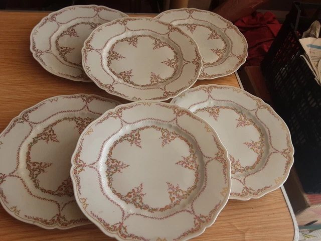 6 Assiettes  Plates Porcelaine De Limoges  Haviland Modele Carignan