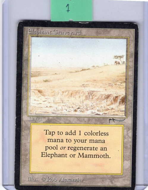 Elephant Graveyard-Arabian Nights Magic the Gathering *Heavily Played*