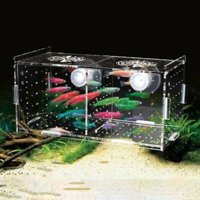 Ganchos para peces bebés caja de cría de peces incubadora incubadora criadero peces caja de separación