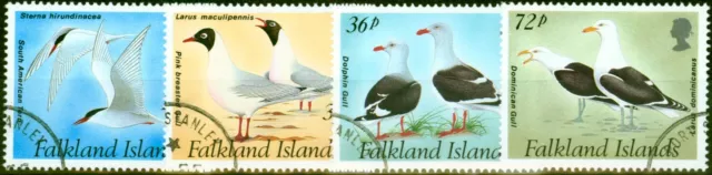 Falkland Islands 1993 Möwen & Briefmarke Set Mit 4 SG671-674 V. f. U