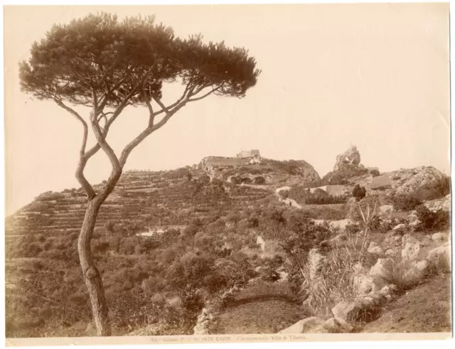 Italy, Capri, Villa di Tiberio Vintage Albumen Print 19