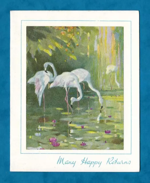 ATTRACTIVE C1950s UNUSED BIRTHDAY CARD FLAMINGOES & LILY POND - BIRDS