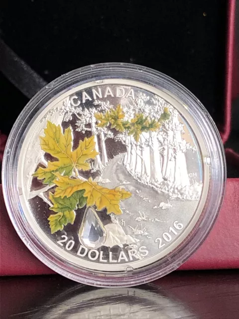 2016 $20 Fine Silver Coin Jewel Of The Rain Big leaf Maple Canada Coin