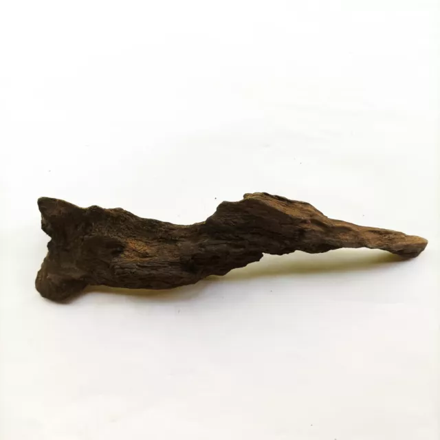 Aquarium Dry Natural Driftwood Fish Tank Reptile Tree Décor Terrarium Wood Décor