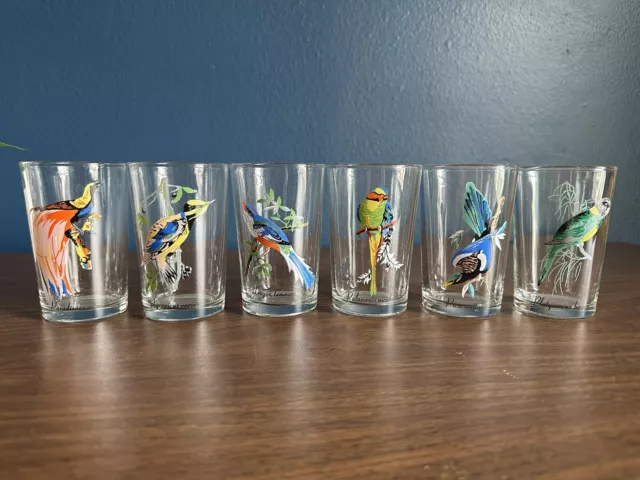 Vintage Crystal Glasses Tumblers Exotic Tropical Birds Set of 6 Bar ware MCM