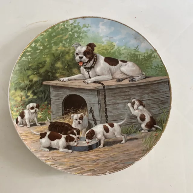 American bulldog Staffordshire pitbull terrier decorative plate