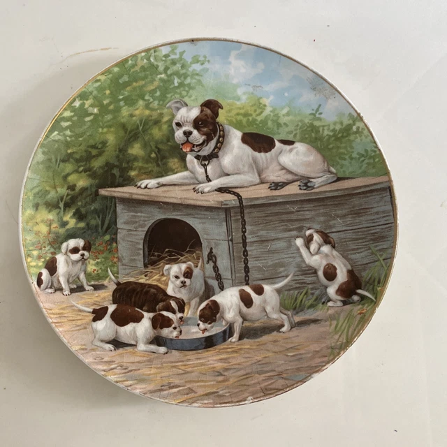 American bulldog Staffordshire pitbull terrier decorative plate