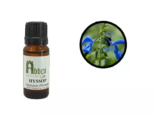 Essential Oil Hyssop 100% Pure Therapeutic Natural Aromatherapy 10ml - 100ml UK