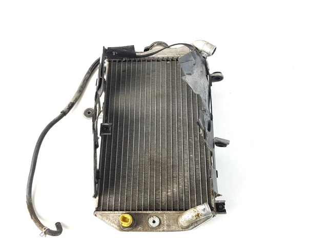 Radiatore Acqua SUZUKI BURGMAN AN 650 NO ABS 2004