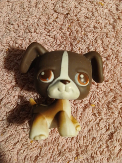 Littlest Petshop LPS jumbo 5 Purple Dog Chien Boxer deco pet # geektradelpschien : Achat occasion | Figurines Hasbro Bon état