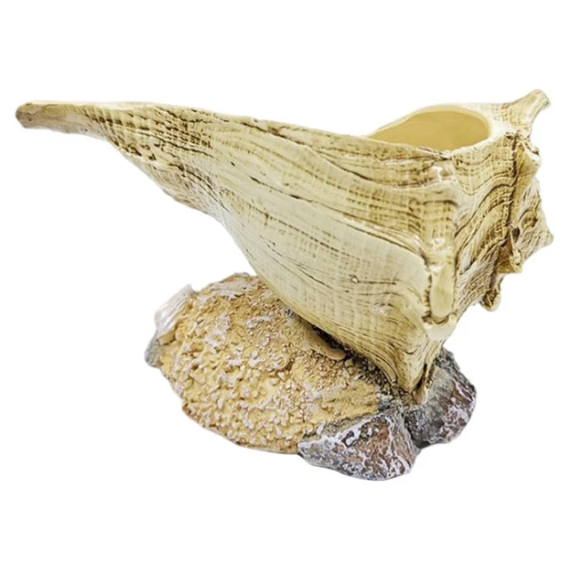 1Pc Conch Topf Sukkulenten Vase Harz Pflanzer Topf