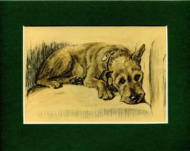 Lucy Dawson ~ Welsh Terrier ~ Colour Print Genuine Vintage 1936