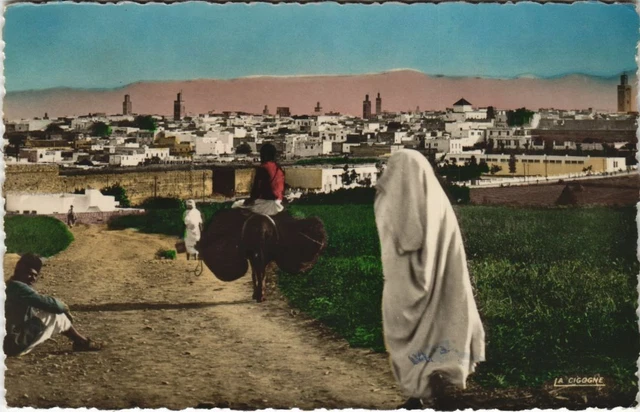 CPA AK MAROC MEKNES Vue générale sur la ville indigene (10736)
