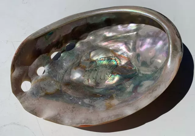 Vintage Pink Abalone Pearl Shell 2