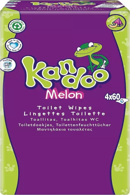 KANDOO - Children's Toilet Wipes Melon - 60 Wipes