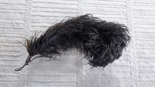 Antique Victorian Edwardian Black ostrich  Plume Feather Millinery 8” Mourning