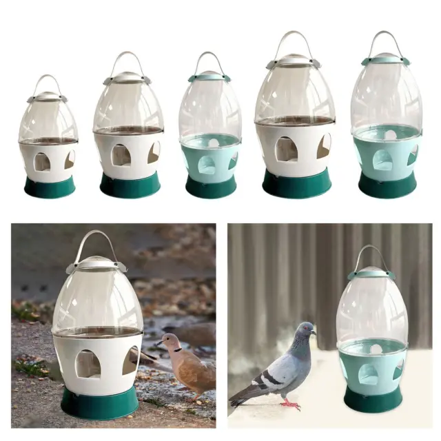 Pigeon distributeur d'eau mangeoire oiseau alimentation buveur pour