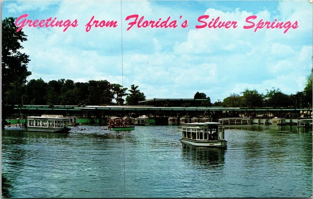 Greetings From Florida Silver Springs FL View Glass Bottom Boats Postcard VTG
