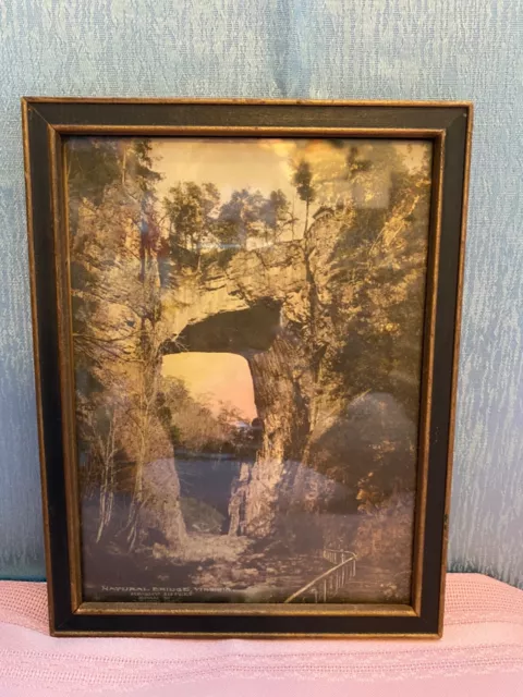 Hal BURROWES c. 1910s NATURAL BRIDGE OF VIRGINIA PHOTOGRAPH Antique