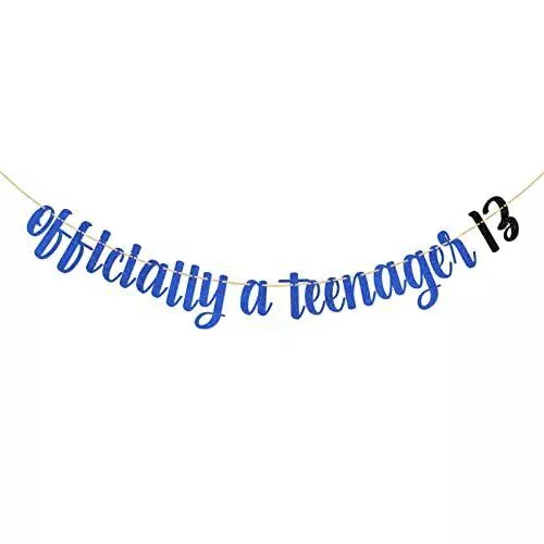 Official Teenager 13th Birthday Decorations Boys Girls, Happy Birthday Banner
