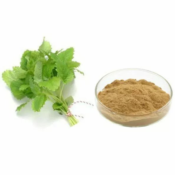 Lemon Balm 20:1 Leaf Extract Powder Melissa Officinalis Natural Organic Herbal
