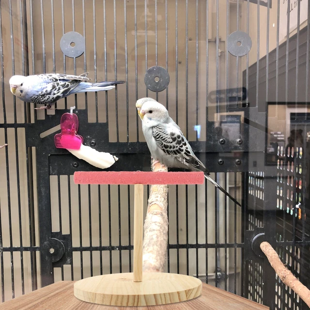 Collare Morbido Per Pappagalli - Accessorio Anti-morso Traspirante E Comfortevole