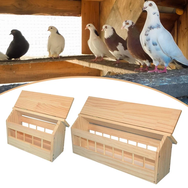 Mangeoire à Pigeons En Bois Design Maison - Grande Capacité Anti-Gaspillage, Distributeur Épais 40x13x14 Cm Pour Pigeons, Poules Et Volailles