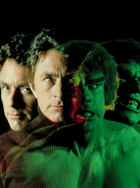 THE INCREDIBLE HULK - BILL BIXBY LOU FERRIGNO 8x10 TV SHOW Photo £8.39 ...