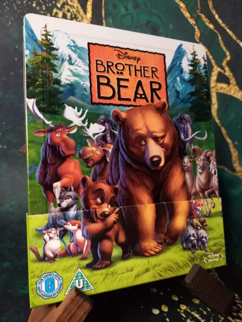 Brother Bear Zavvi innovativ UK