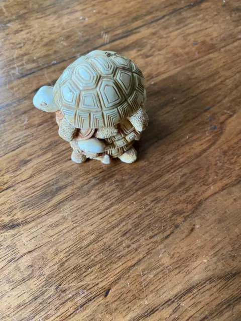 Tiny  Tortoises Pot with Lid in Tortoise's Shell
