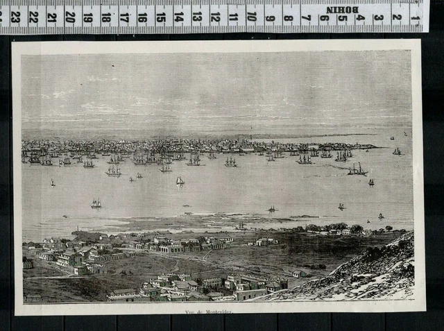 G58 / Gravure 1877 /  Vue De Montevideo