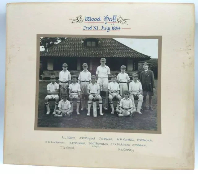 July 1954 Wood Hall Cricket team 2nd XI all named 12.7x11" Gross orig photo