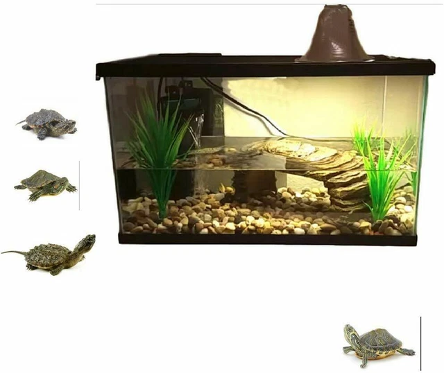 AQUATIC TURTLE HABITAT Aquarium XL Reptile Complete Water Kit Set