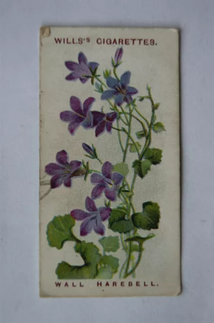 1913 Wills, Alpine Flowers No. 10 Wall Harebell