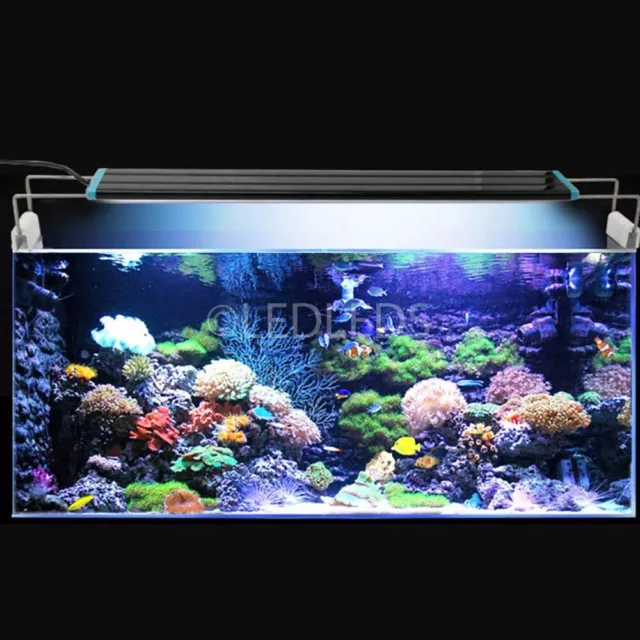 Lampada Plafoniera 30Cm 42 Led 30-40Cm Acquario Luce Bianca Blu Pesci Piante