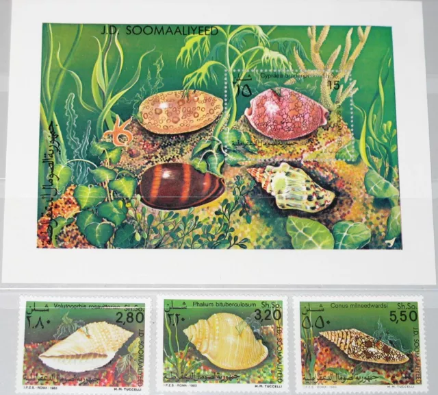 SOMALIA 1984 349-51 Block 14 531-34 Schnecken Sea Shells Muscheln Fauna MNH