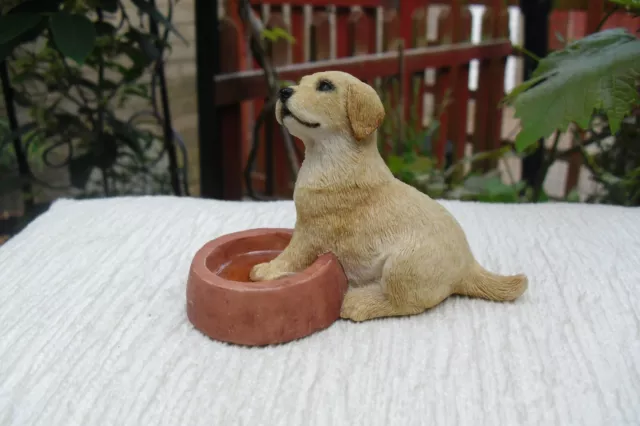 Lovely  Labrador Puppy With Paw In Water Bowl.