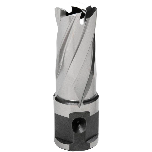 Hougen 12317 17MM X 25MM "12,000-Series" Annular Cutter